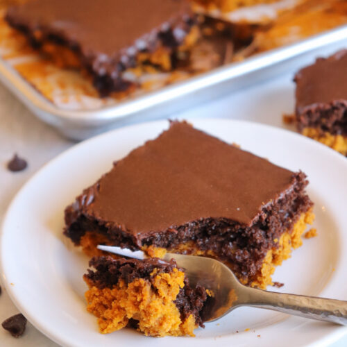 Pumpkin Chocolate Sheet Cake 2