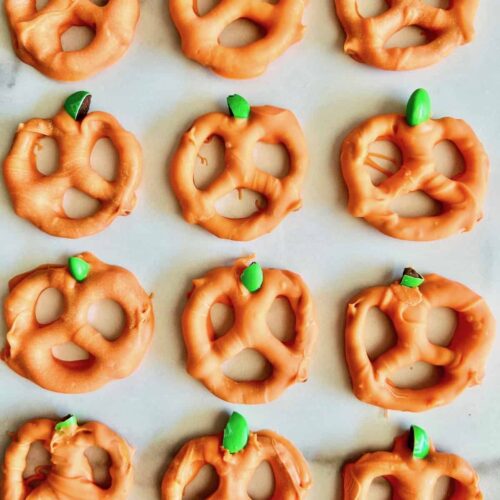 Pumpkin Pretzels Overhead of 12 ready to eat all lined up in rows of 3