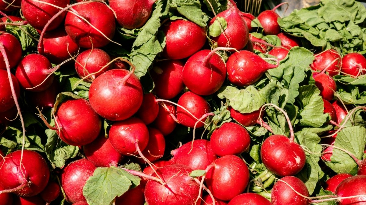 Radishes