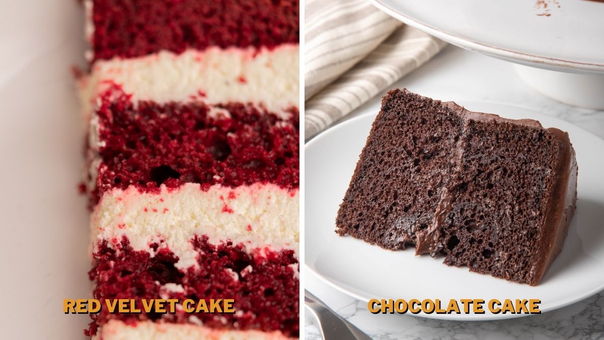 Red Velvet Cake vs. Chocolate Cake Appearance
