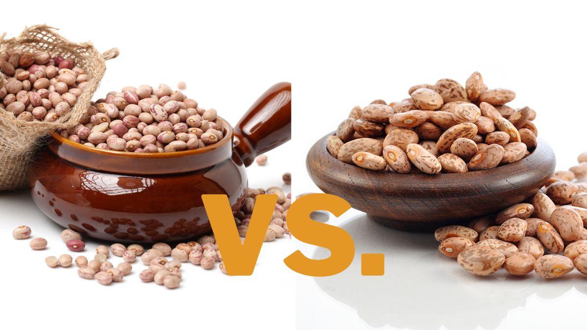 Roman Beans vs. Pinto Beans