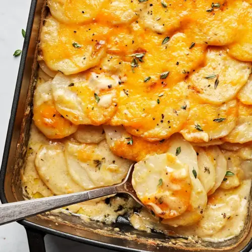ScallopedPotatoes 13