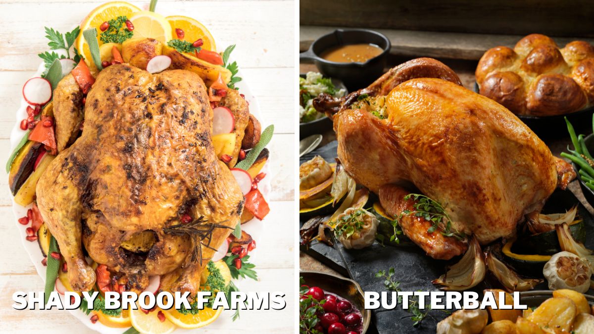 Shady Brook vs. Butterball Turkey Baked