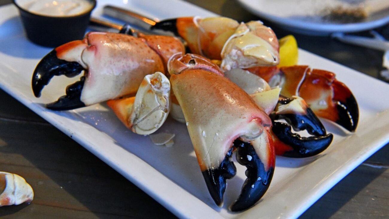 Stone Crab Claws 3