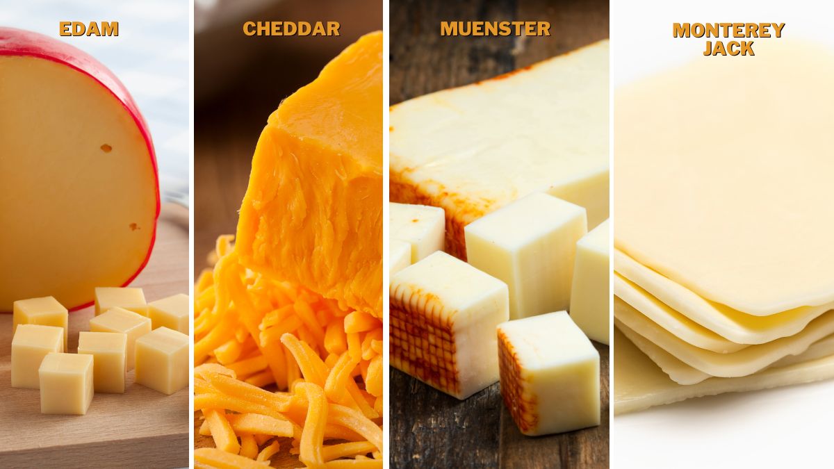 Substitutes for Gouda Cheese