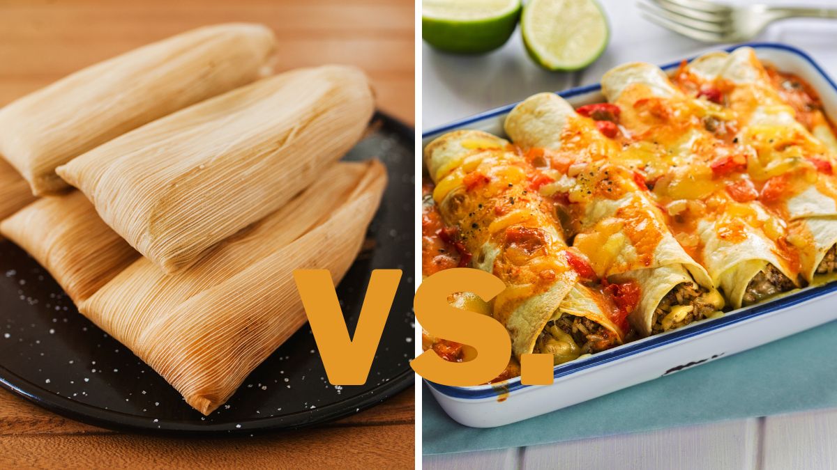 Tamale vs. Enchilada Differences & Which One to Choose