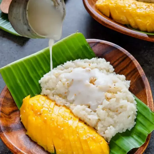 Thai Mango Sticky Rice 1 of 7 677x1024 1