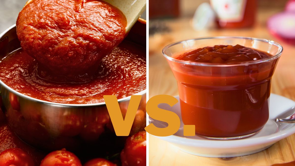 Tomato Sauce vs. Ketchup Differences Explained