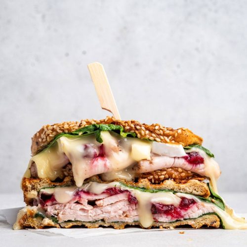 Turkey Brie Cranberry Sandwich 1 jpg