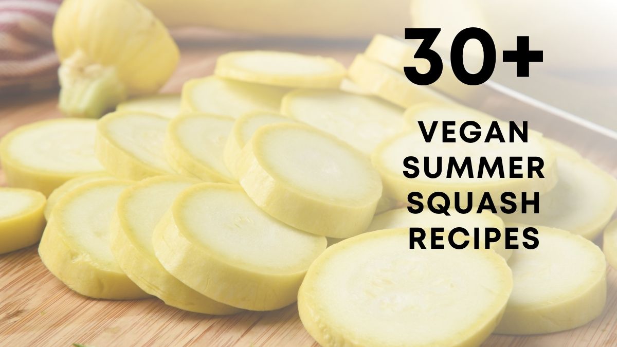 Vegan Summer Squash Recipes