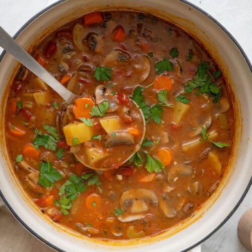 Vegetable Stew 09