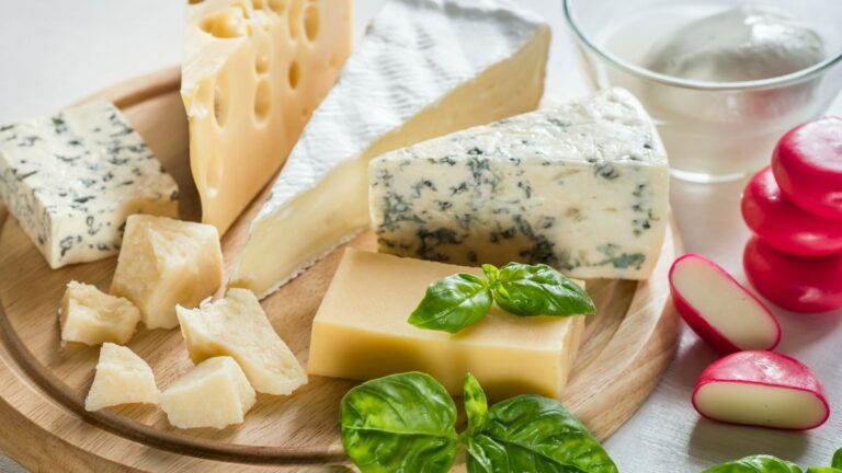 What Makes Different Cheeses? Why They Have Different Flavors?