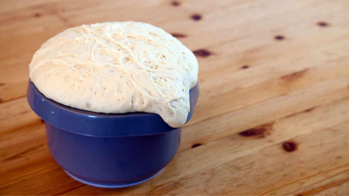 What to Use Instead of Plastic Wrap for Dough