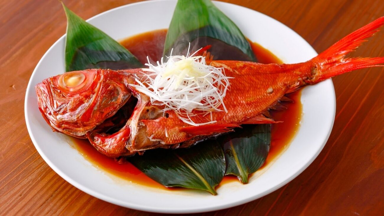 Yellowtail Snapper