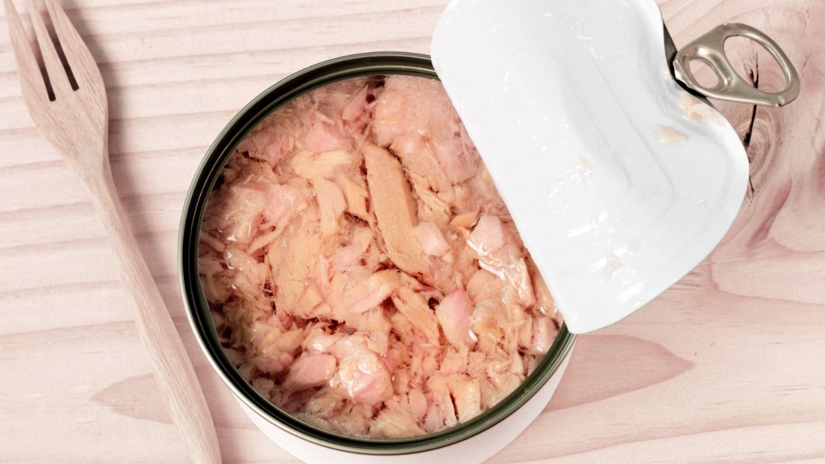 canned tuna