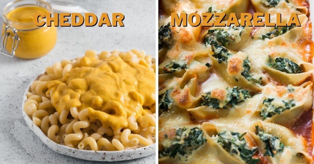cheddar vs mozzarella