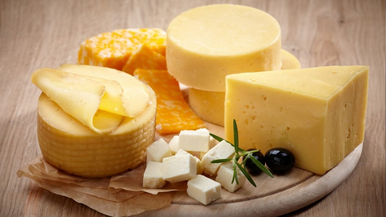 cheese 1