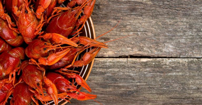 The Dangers of Eating Crawfish: What Are Side Effects?