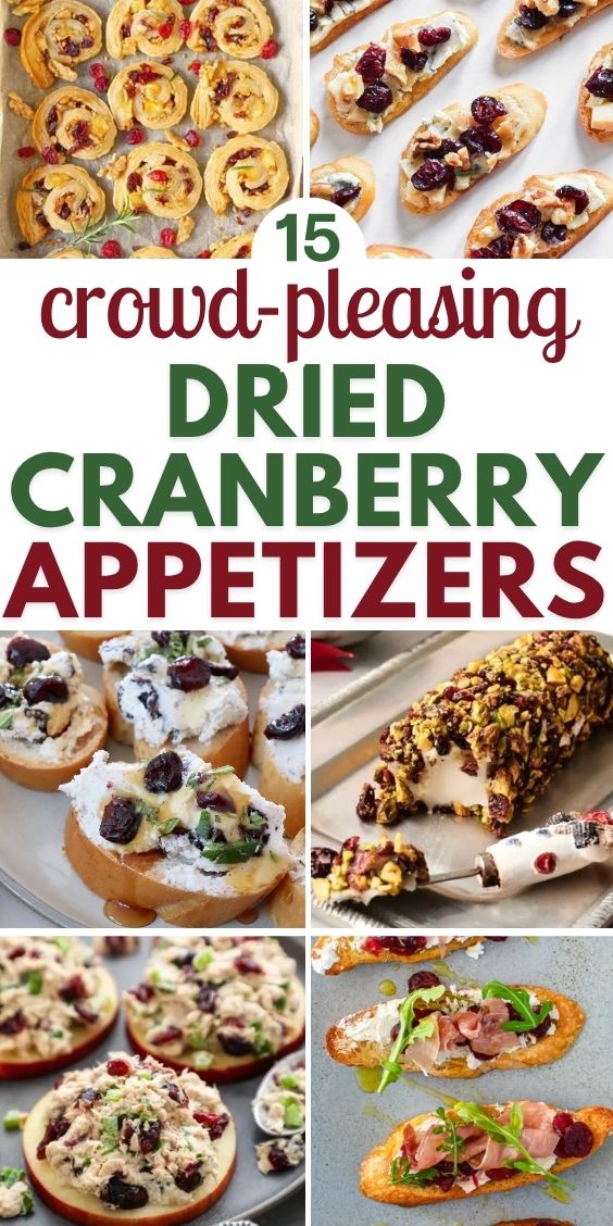 dried cranberries appetizers 1