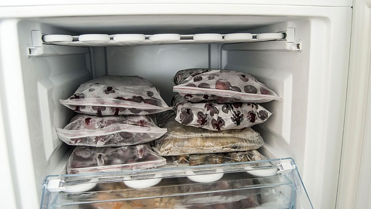 freezed foods