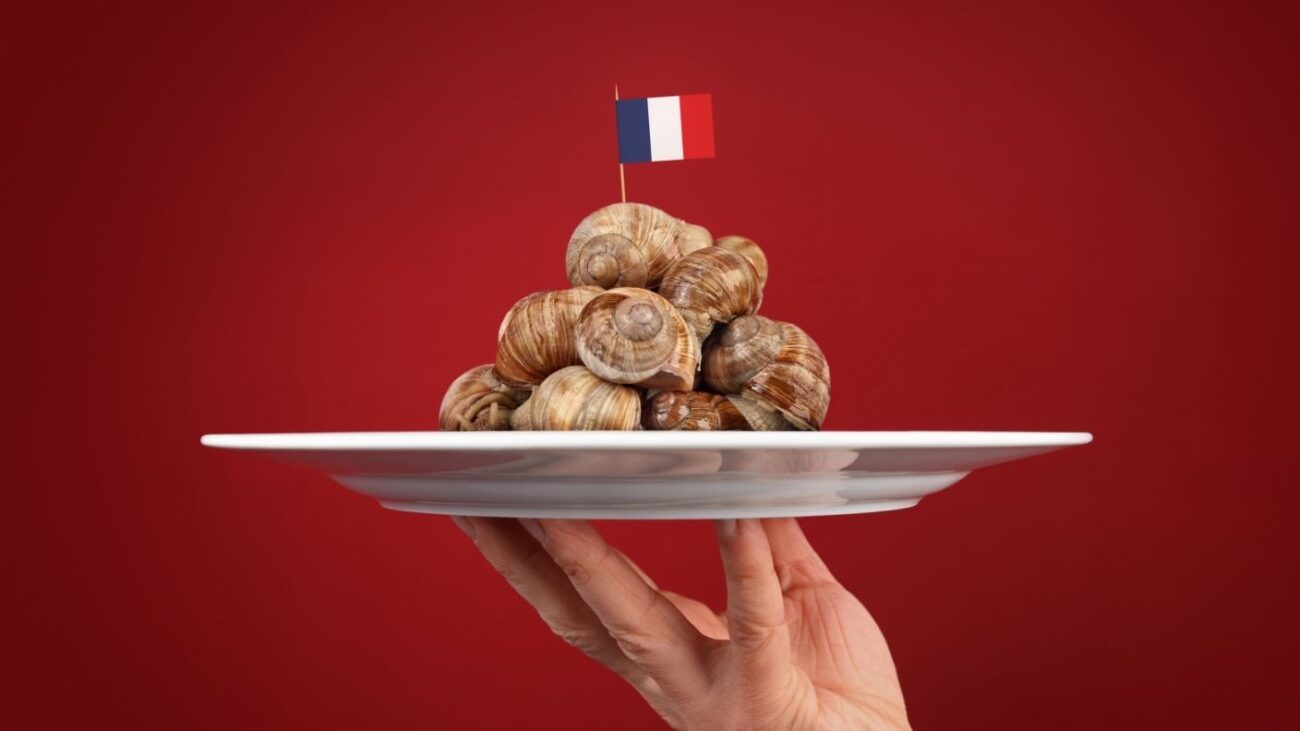 french cuisine 1