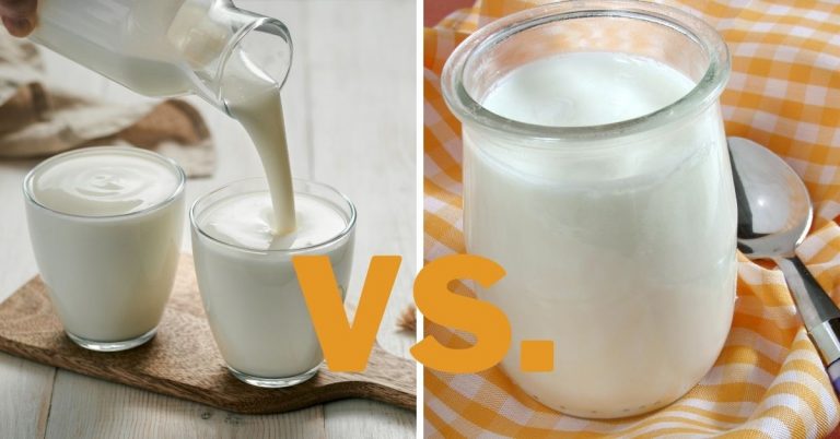 Probiotic Yogurt vs. Regular Yogurt: Differences & Which Is Better?