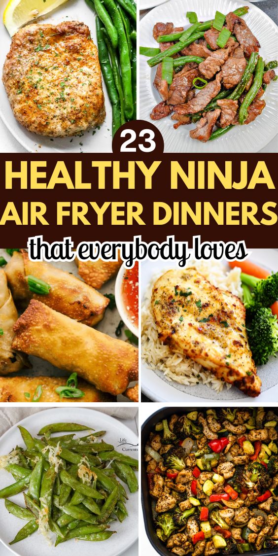 healthy ninja air fryer recipes dinners