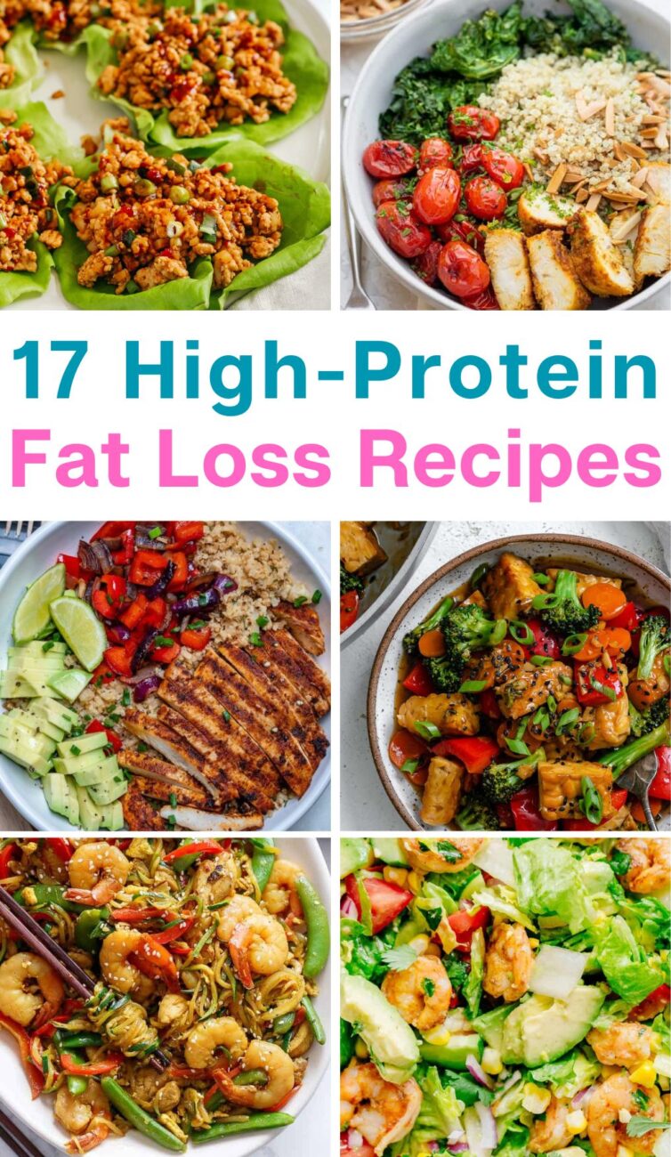 high protein recipes for fat loss (1)