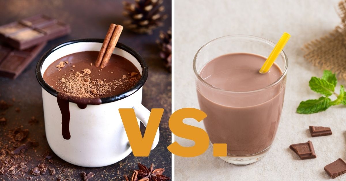 hot chocolate vs chocolate milk