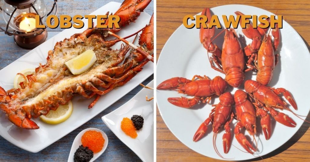 is crawfish seafood