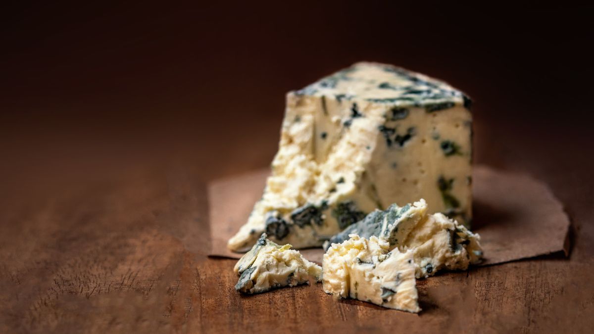 mold that gives the cheese its characteristic blue veins
