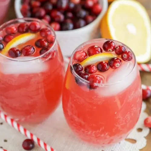 non alcoholic holiday punch resize 6