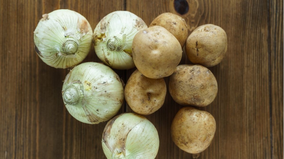 onion and potatoes