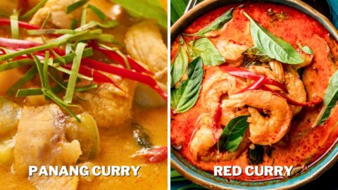 Panang Curry vs. Green Curry: Differences & Which Is Better