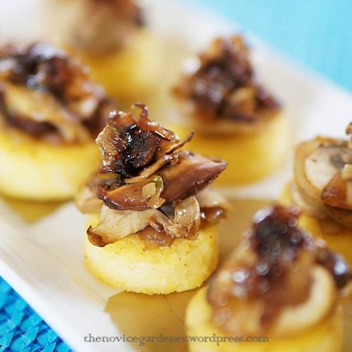 polenta canapes with mushroom ragout