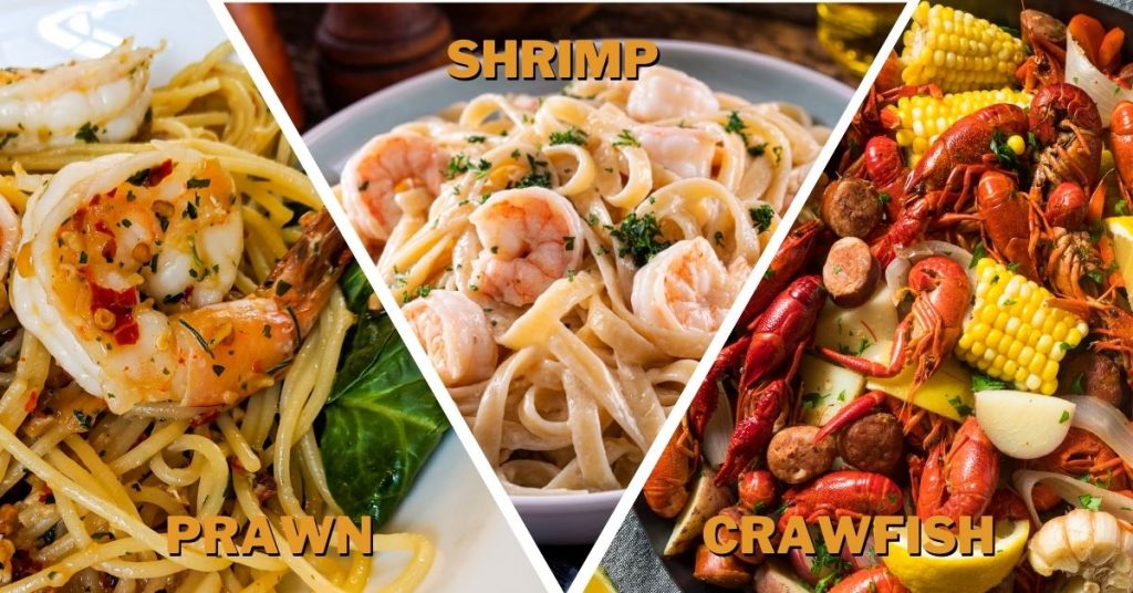 prawn vs shrimp vs crawfish