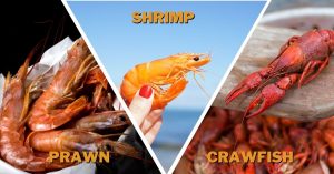 Prawn vs. Shrimp vs. Crawfish: Differences