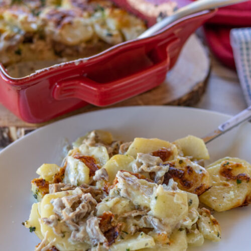 pulled pork scalloped potatoes 1 1024x683 1