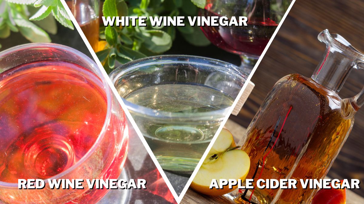 red wine white wine and apple cider vinegar for Sandwiches