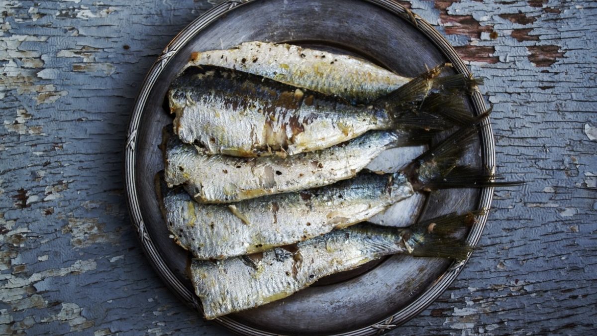 sardines 1