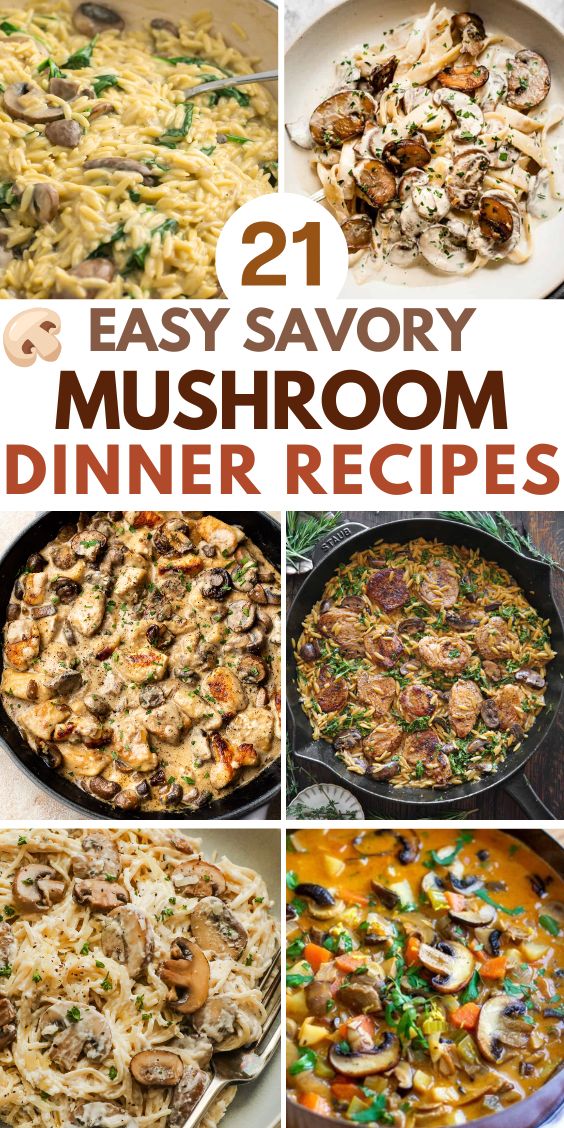 savory main dish recipes with mushrooms easy