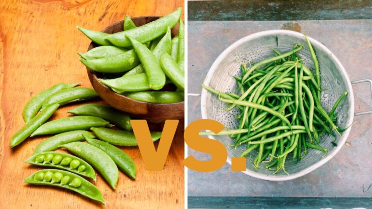 Snap Peas vs. Green Beans: Differences