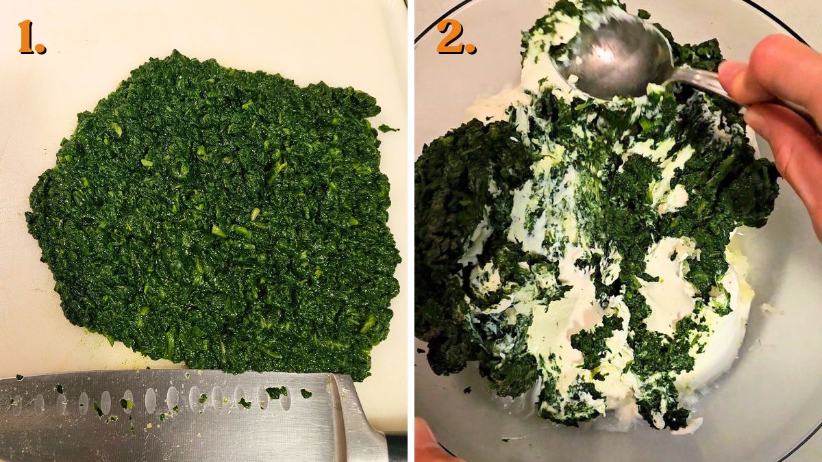 spinach and ricotta sauce