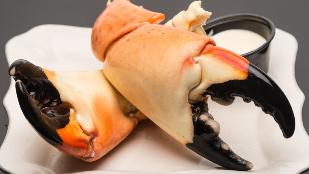 stone crab claws 2
