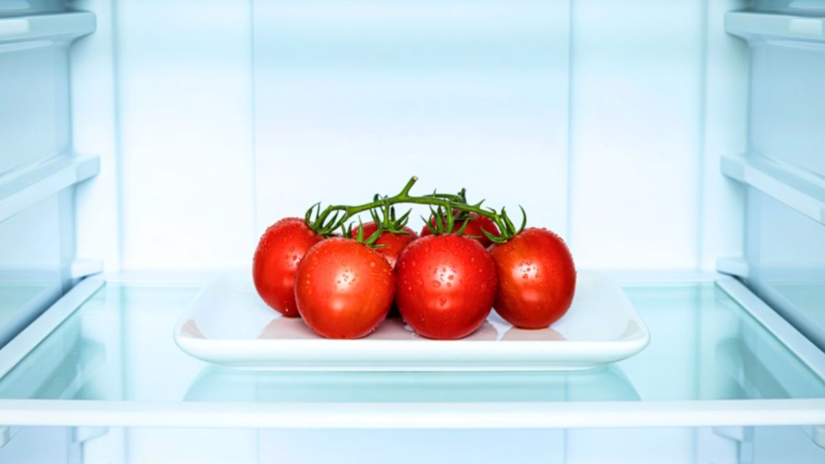tomatoes