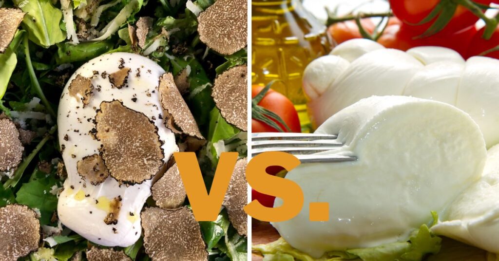 truffle burrata vs mozzarella